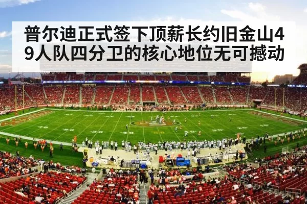 American football stadium crowd