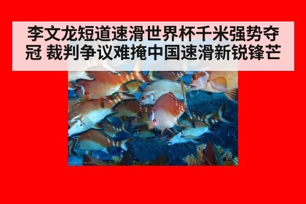 李文龙短道速滑世界杯千米强势夺冠 裁判争议难掩中国速滑新锐锋芒